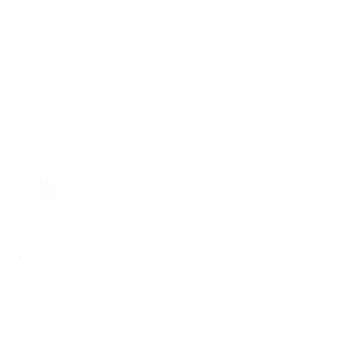 Fondo1.png